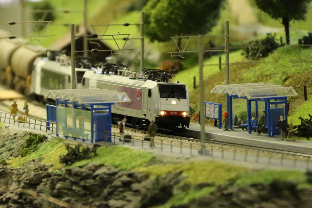Öffentliche Vorführung beim Berner Modell-Eisenbahn-Club