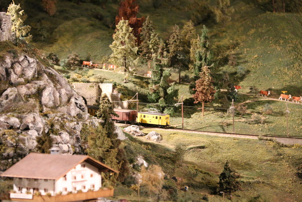 Käserbergbahn und Alpabzug auf der Chemins de fer du Kaeserberg